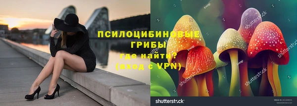 спайс Горнозаводск
