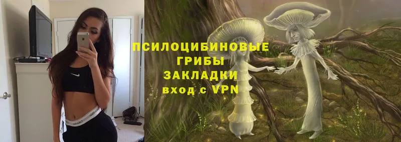 Галлюциногенные грибы MAGIC MUSHROOMS  закладки  Дедовск 