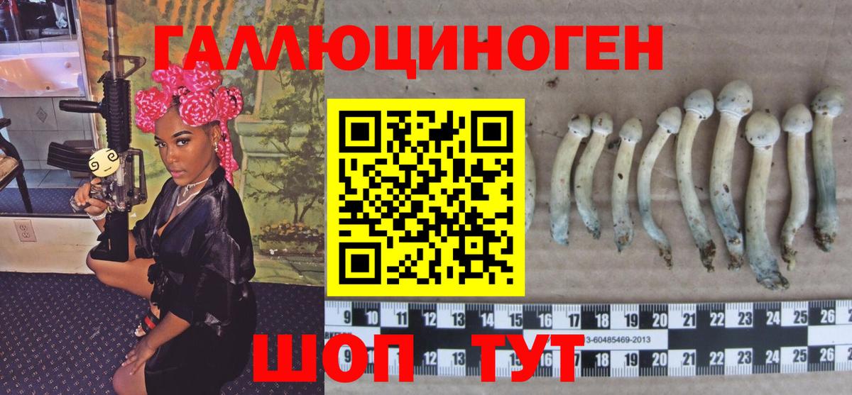 Псилоцибиновые грибы мицелий  Галлюциногенные грибы Magic Shrooms  цены   Дедовск 