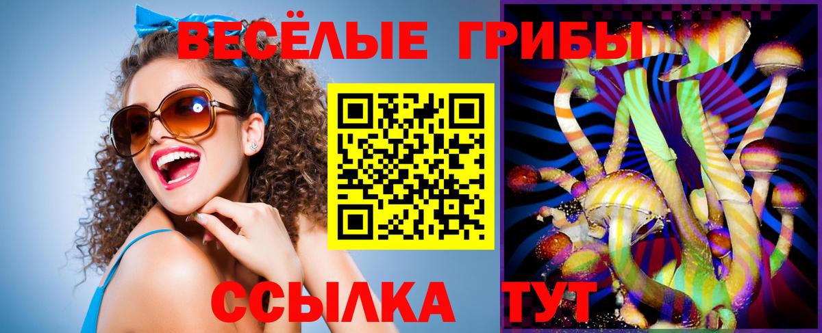 Галлюциногенные грибы Magic Shrooms  Вход с VPN  купить наркотики цена  Дедовск 