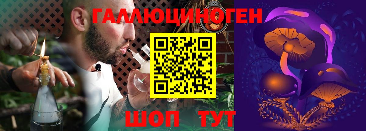 Псилоцибиновые грибы Psilocybine cubensis Дедовск