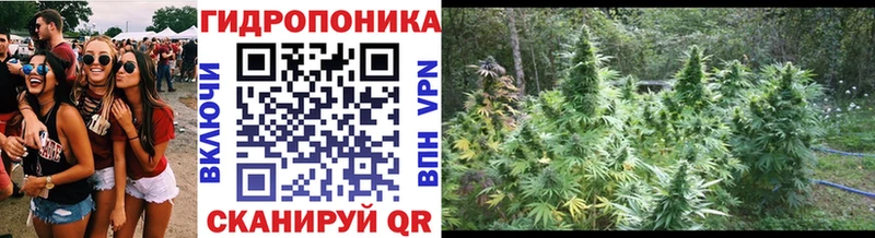 Бошки Шишки OG Kush где купить наркотик Дедовск